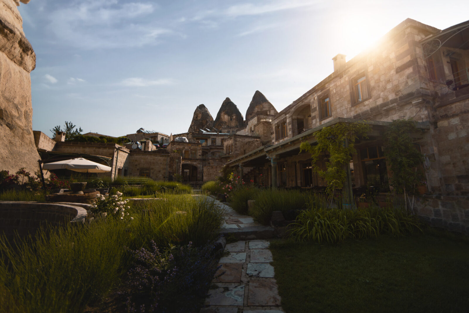 aza outside sunny horizontal